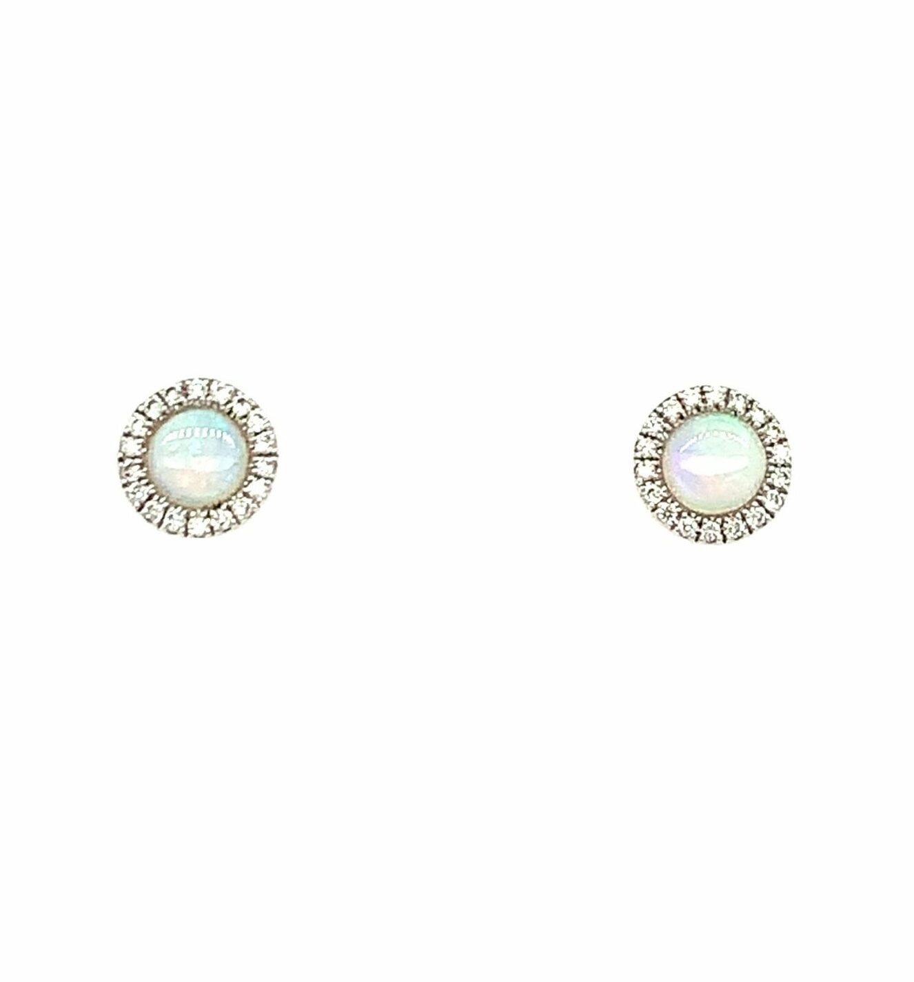 White Gold Opal Earrings