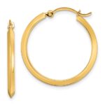 Yellow Gold Hoop Earrings